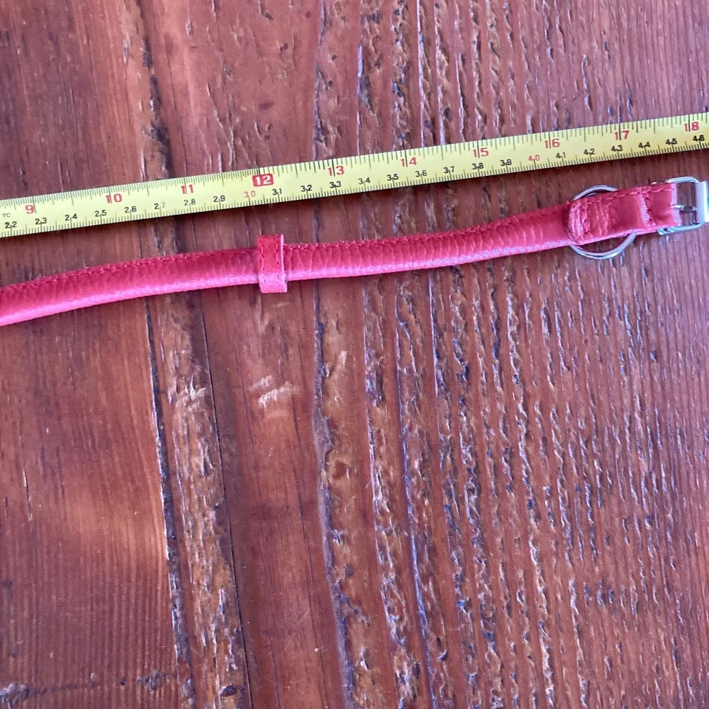 NWOT Rolled Leather Dog Collar in Red
